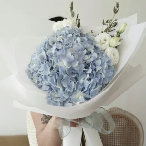 Just Because Hydrangeas